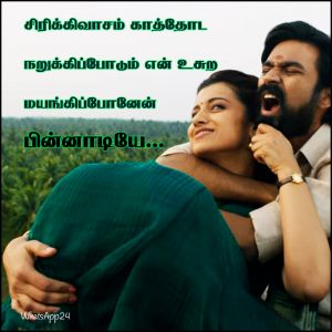 Dhanush Quotes In Tamil Dhanush Tamil Quotes For Whatsapp Status