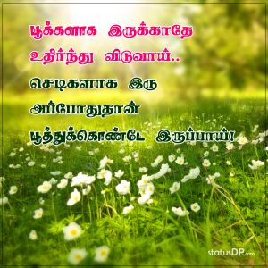 Flowers Tamil Quotes For Whatsapp Status
