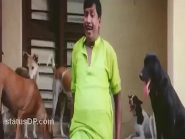 Dog attacking vadivelu - WhatsApp Status Video