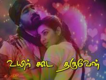 whatsapp dp WhatsApp profile whatsapp status tamil Images •  ❤꧁குமரன்🌹6369471620🤙 (@6369471620kumaran) on ShareChat